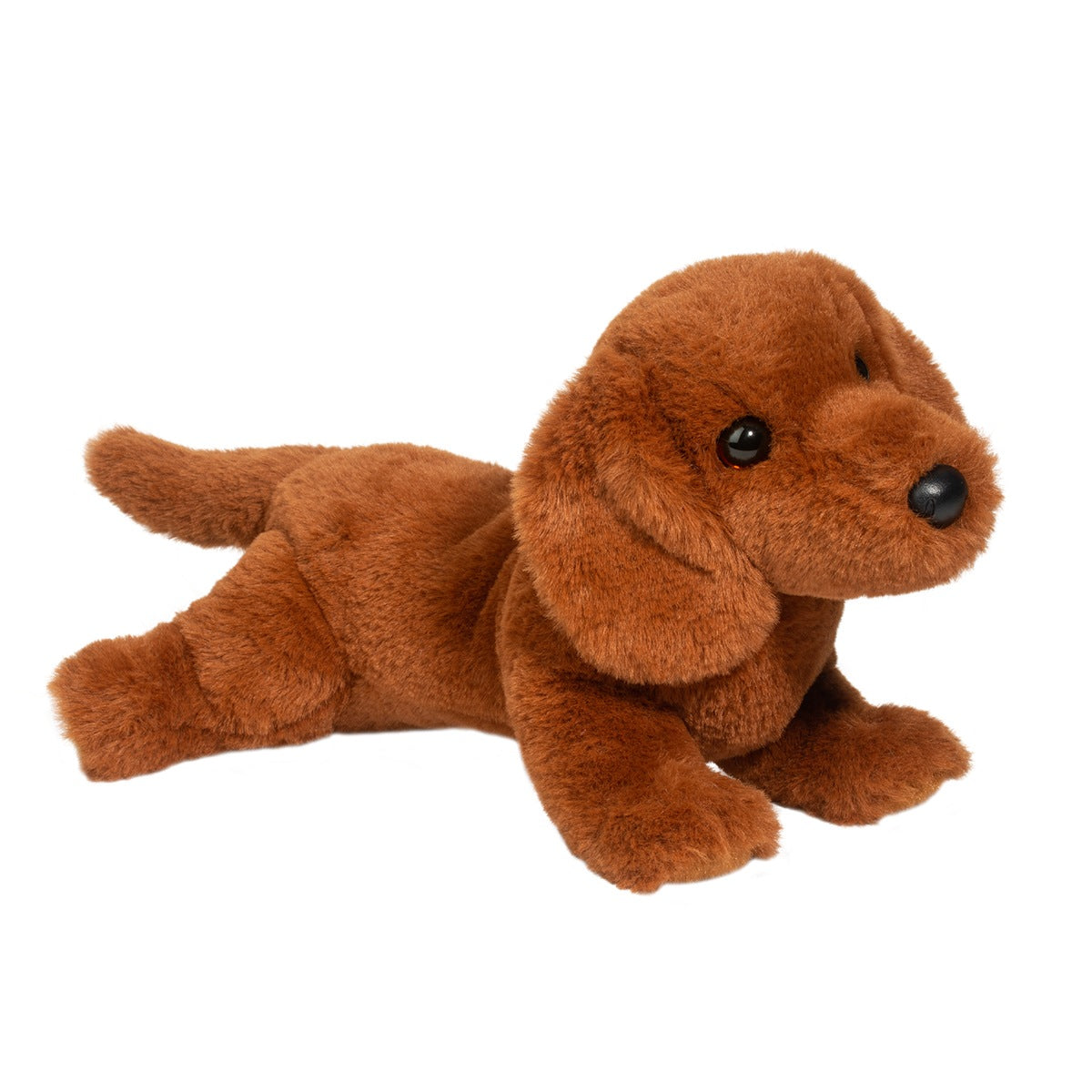 Soft Dachshund