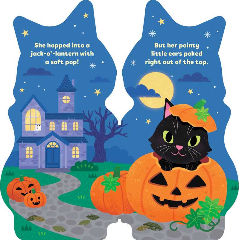 Little Cat by Maggie Fischer: Board Books; 8 pages / English