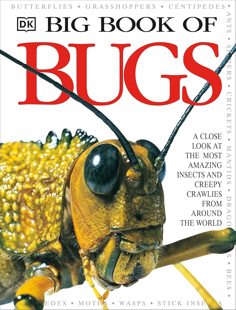 Big Book of Bugs cover image