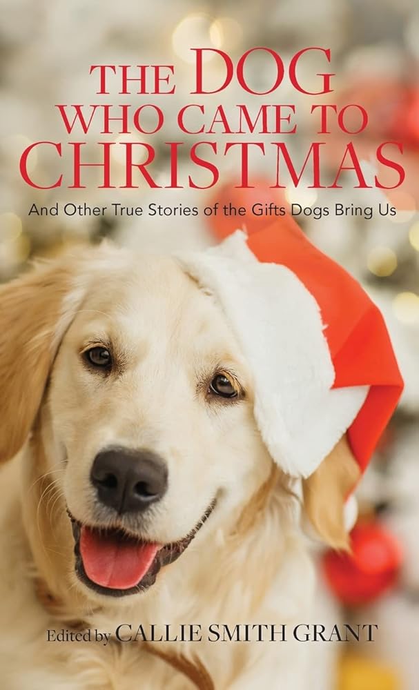 The Dog Who Came to Christmas: And Other True Stories of the Gifts Dogs Bring Us cover image