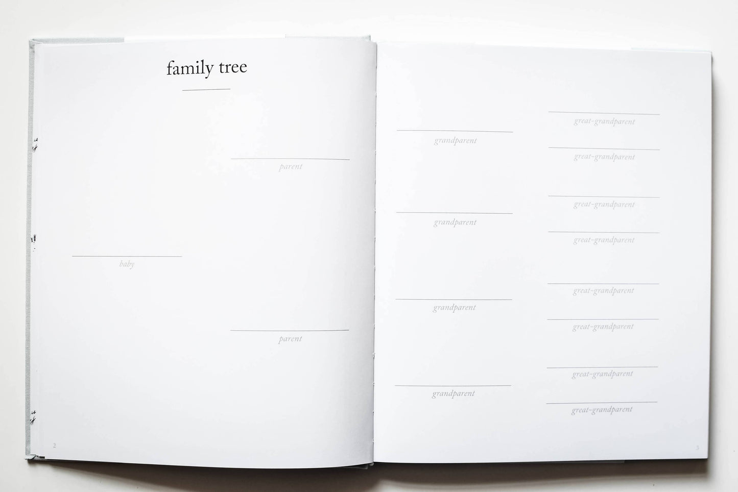 Baby's First Year Memory Book & Photo Album | Mother's Day: Cream