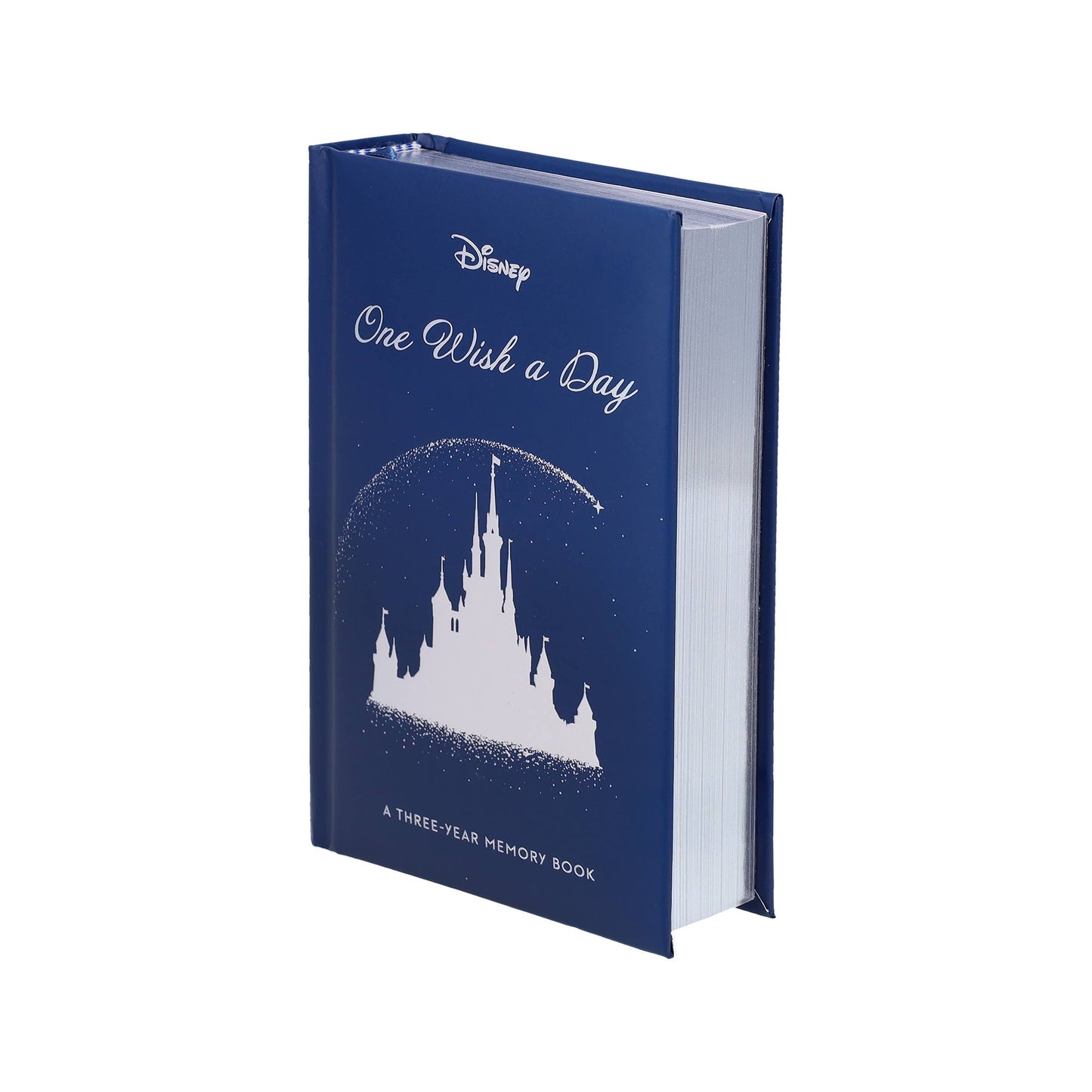 Disney One Wish a Day
