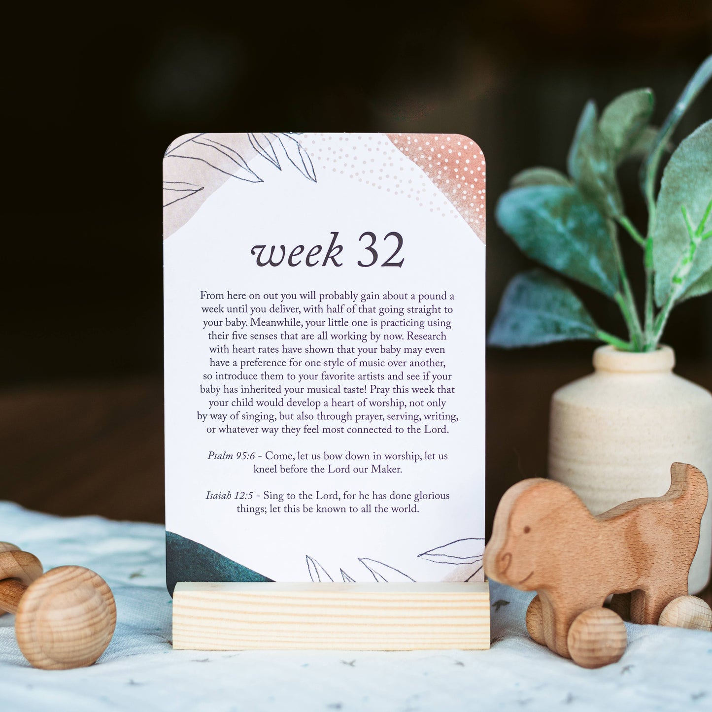 Pregnancy Prayer Cards | Expecting Mom Gift & Announcement: White