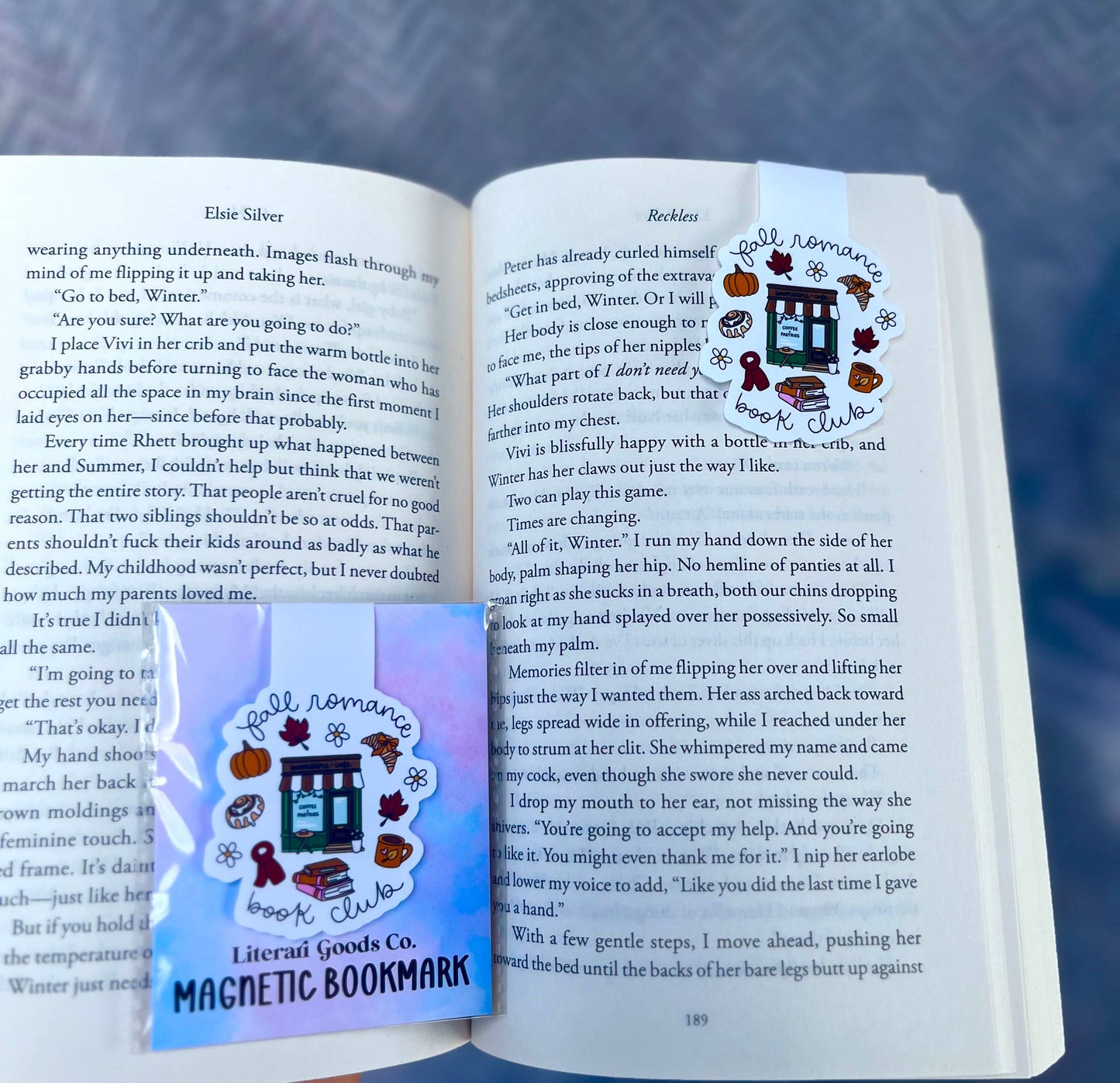 Magnetic Bookmark - Fall Romance Book Club