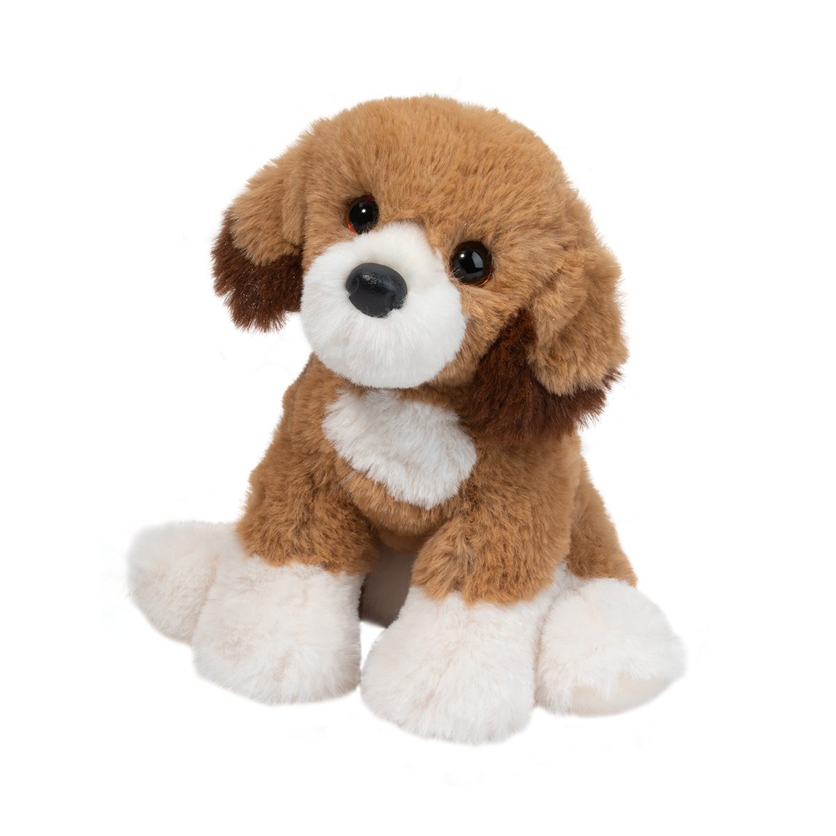 Mini Doodle Dog