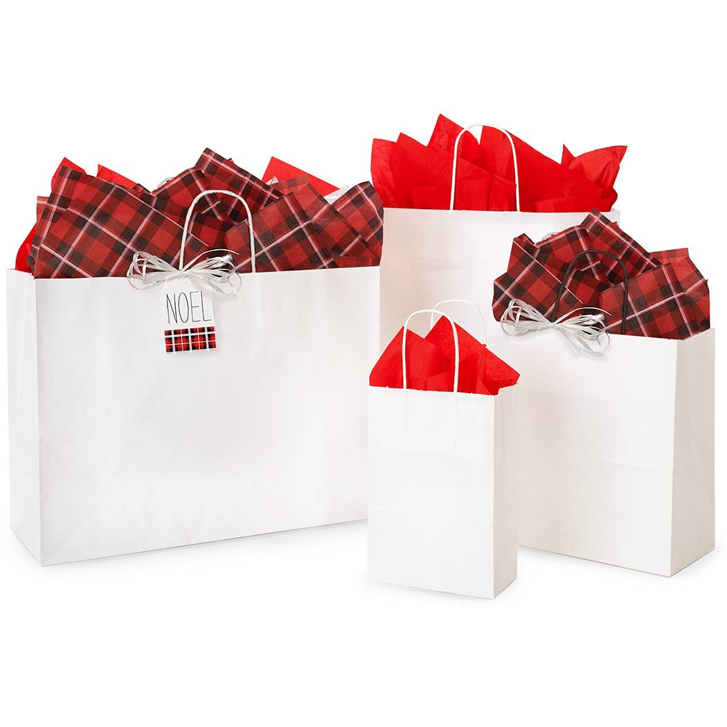 White Kraft Retail Paper Shopping Bags: 100 Pack / Carrier 10x5x13"