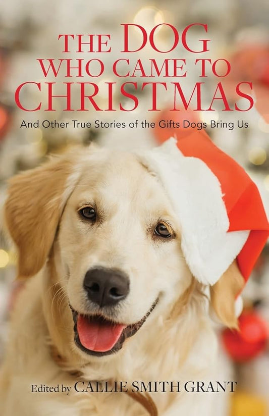 Dog Who Came to Christmas cover image