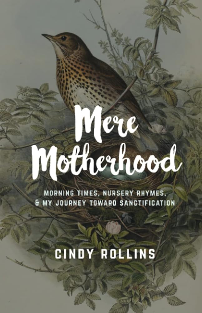 Mere Motherhood: Morning Times, Nursery Rhymes, & My Journey Toward Sanctification cover image