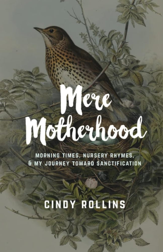 Mere Motherhood: Morning Times, Nursery Rhymes, & My Journey Toward Sanctification cover image
