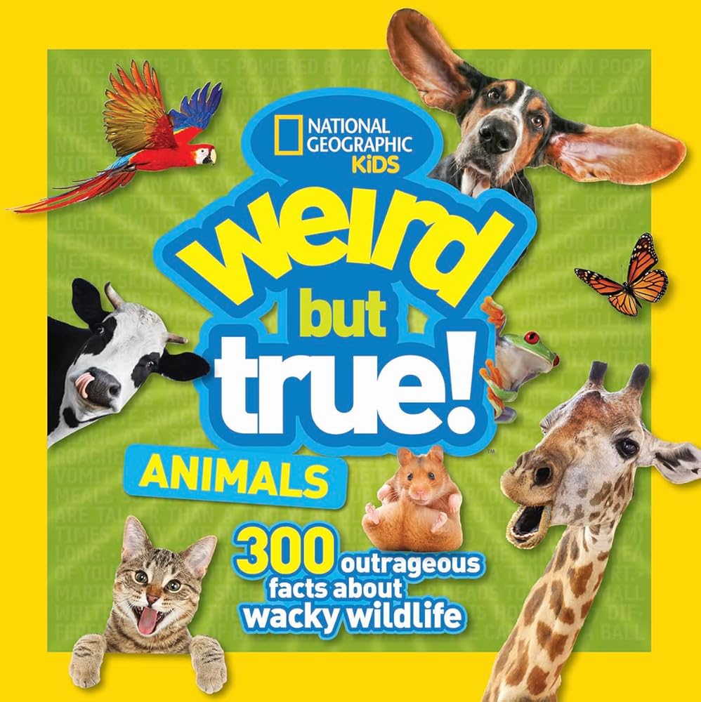 Weird But True! Animals cover image