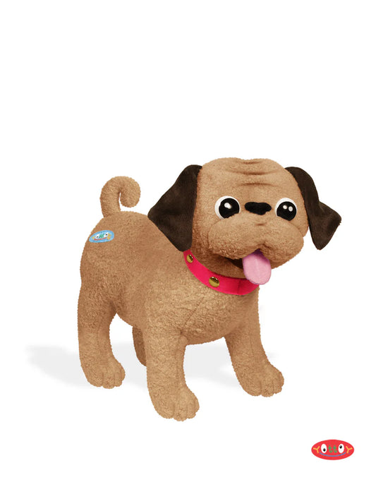 Winnie the dog - Eloise's dog