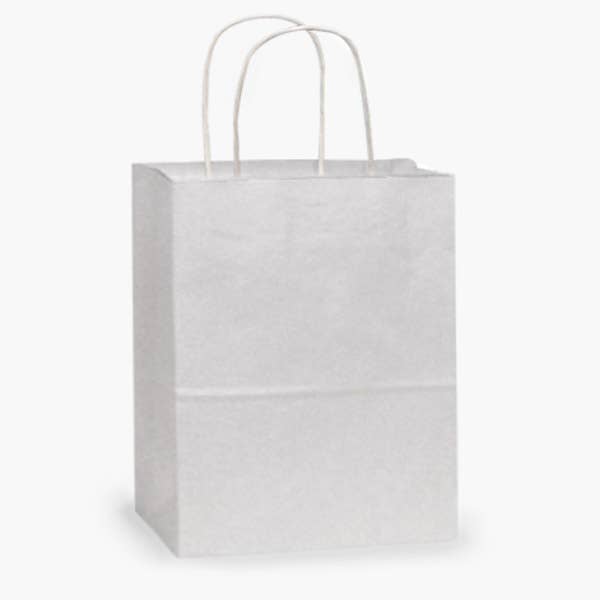 White Kraft Retail Paper Shopping Bags: 100 Pack / Cub 8x4.75x10"