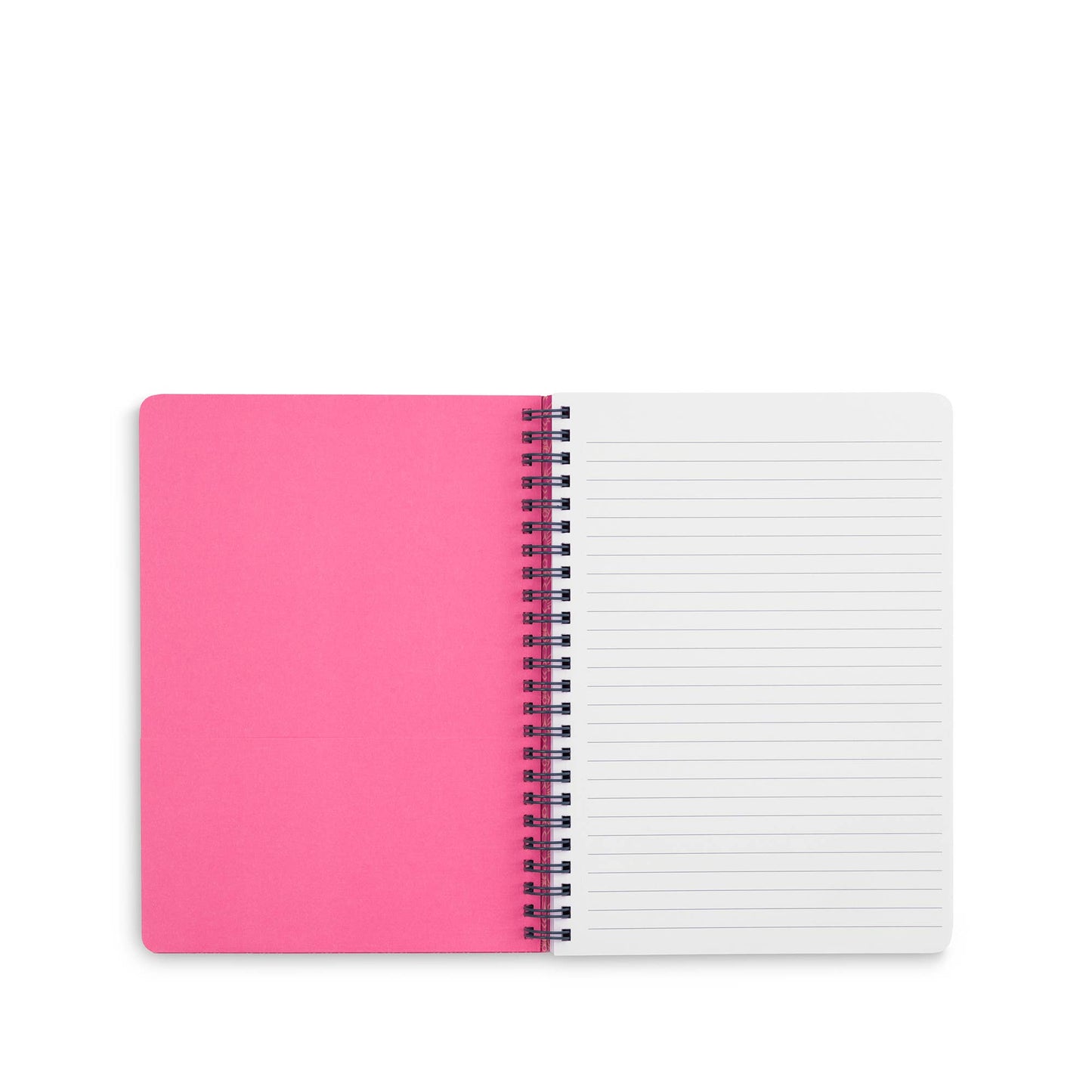 Wicked Mini Notebook, Wicked Word Cloud